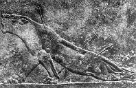 Раненая львица из Ниневии. 669 г. до н.э.